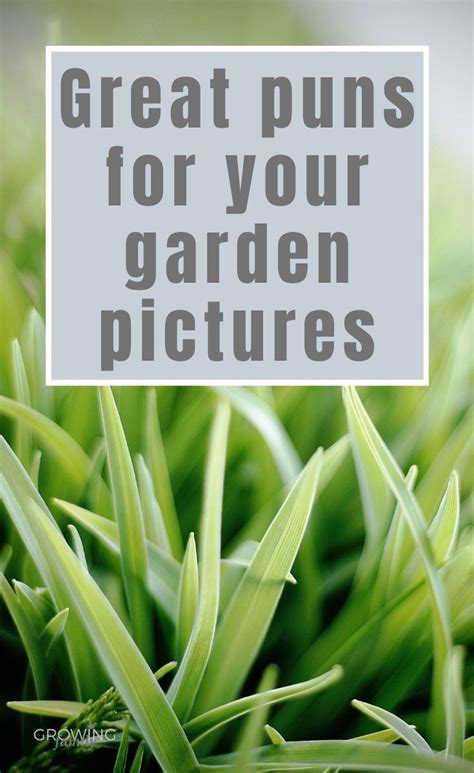 Pin On Garden Quotes