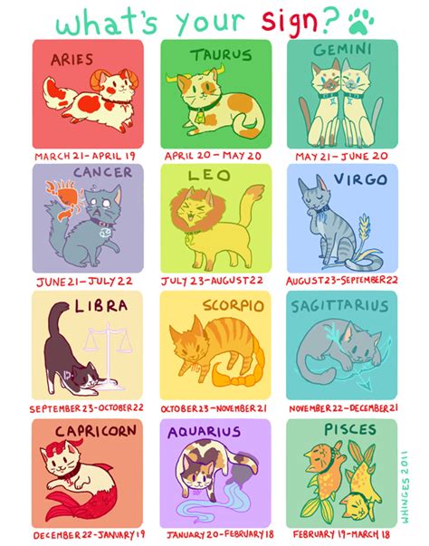 Cat Breeds For Zodiac Signs Pets Lovers