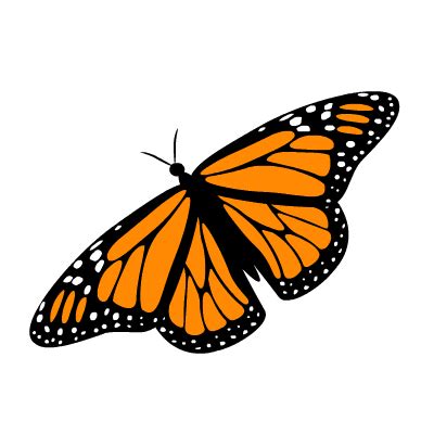 transparent background butterfly gif - Clip Art Library