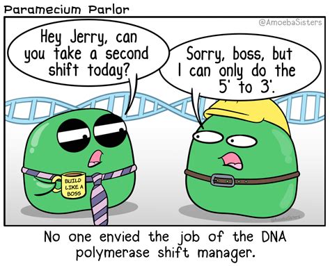 The Amoeba Sisters Biology Jokes Biology Humor Biology Memes