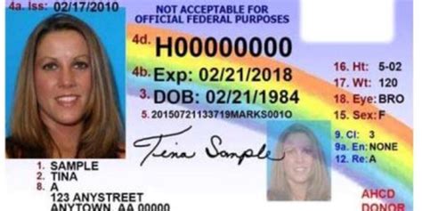 New Drivers License Could Put 40k More Residents Behind The Wheel