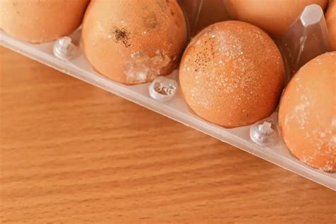 Mold On Eggs Are They Safe To Eat And How To Stop It