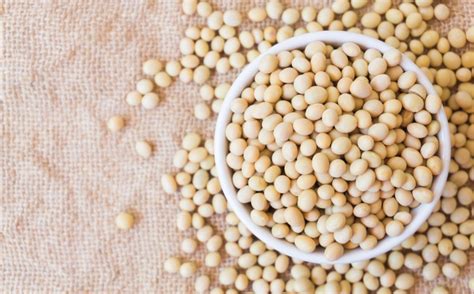 The Benefits And Cautions Of Soy Based Foods Ehealthiq