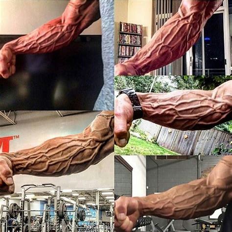 Veins Popping Like Arm Workout Advanced Workout Gym Workout Tips