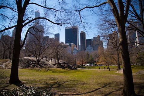 Central Park Nyc Free Stock Photo Public Domain Pictures