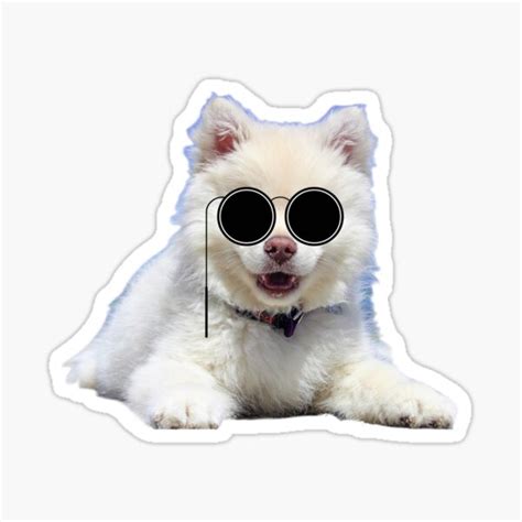 Funny Pupy With Glasses Sticker For Sale By Trucker10 Redbubble