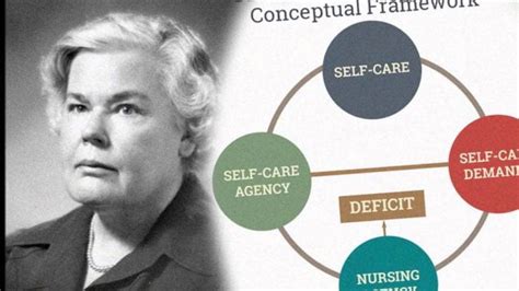 Nursing Theories 7 Of The Best Nursing Theories From Popular Theorists