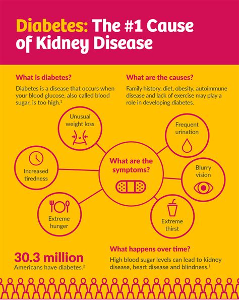 Kidney Disease In Diabetics Diabetic Kidney Disease Stages Kidney