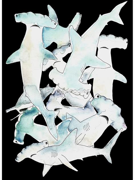 Watercolor Hammerhead Sharks Poster By Scubadoodles Redbubble