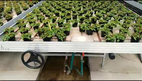 Flood Hydroponic Rolling Benches Tables Ebb And Flow Aluminum Planting
