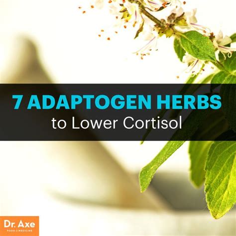 7 Adaptogenic Herbs Or Adaptogens That Help Reduce Stress Cortisol Herbs Adrenal Fatigue