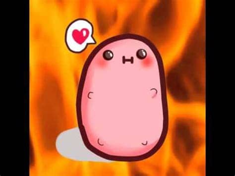 A potato flying around your room. A potato flew around my room ''Remix'' [Old and cringy ...