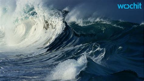 Atlantic Ocean Waves Ocean Wildlife List