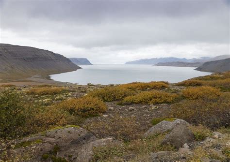 Driving The Westfjords As A Solo Female Carlys Adventures Afar