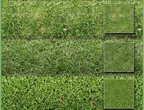 60 Best Photoshop Grass Textures Free Psd Download
