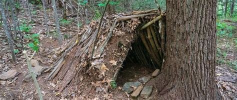 How To Build A Survival Shelter Trail Hiking Australia