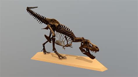 T Rex Stan Fossil Replica 3d Model