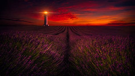 Wallpaper Sunset Lighthouse Lavender Farm Hd 4k 5k