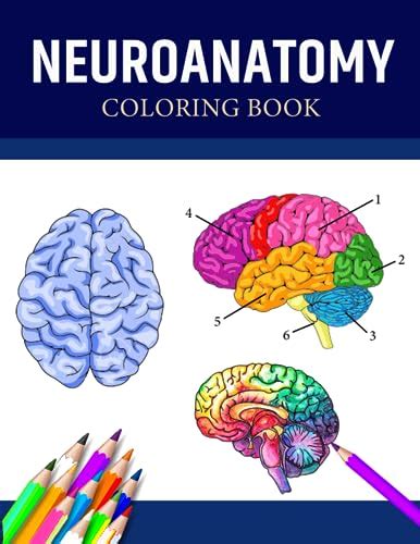 Neuroanatomy Coloring Book Incredibly Detailed Self Test Neuroanatomy