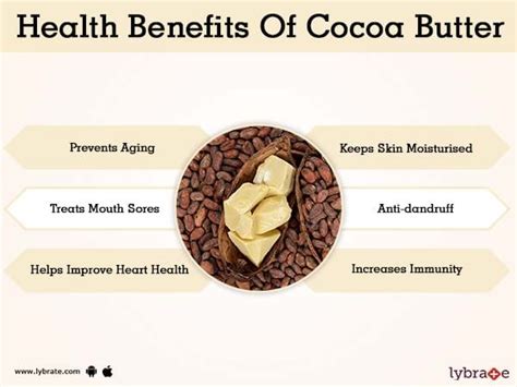 Health Advantages Of Cacao Chocolate Naturalmedico
