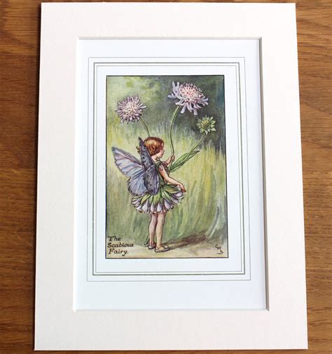 Genuine 1920s Scabious Flower Fairy Plate Cicely Mary Barker Etsy