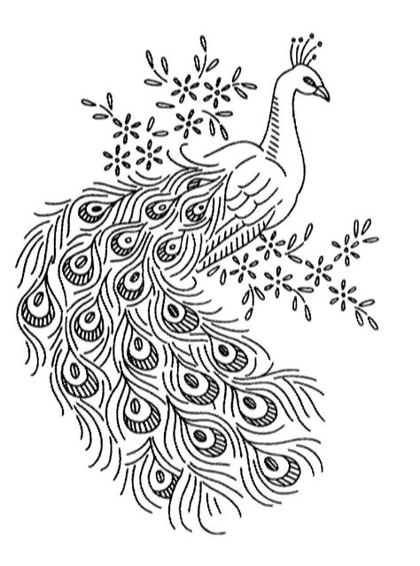 Outline Sketch Of Peacock Drawing Inspirations Vintage Embroidery