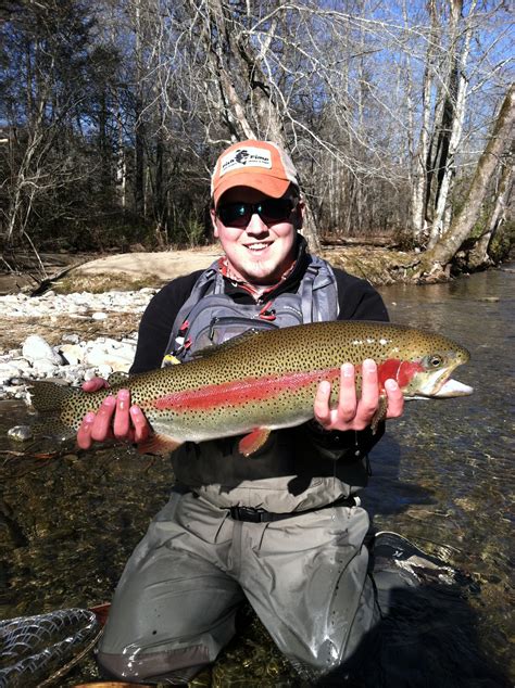 Fly Fishing In Cherokee Nc Hookers Fly Shop And Guide Service Your