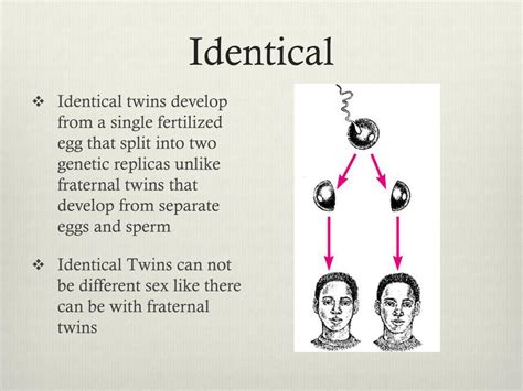 Ppt Twins Powerpoint Presentation Free Download Id2116861