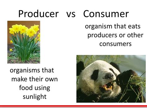 Understanding The Producer And Consumer Philosophy By Arnav Gupta