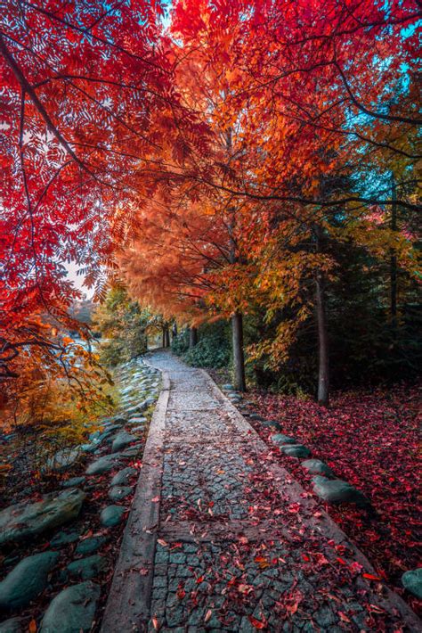 Autumn Scenery Tumblr