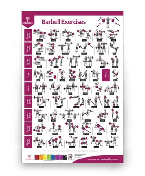 Barbell Exercises Poster Prohealthsys