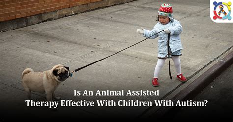 Animal Assisted Therapy Effective With Children With Autism