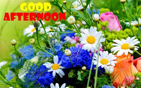Download Good Afternoon Spring Flowers Picture