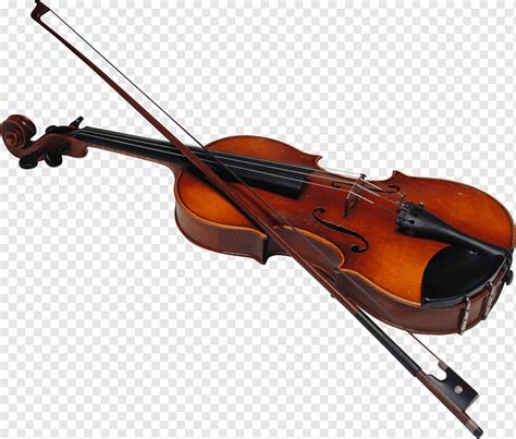 Electric Violin Wikimedia Commons Music Violin Double Bass Bow