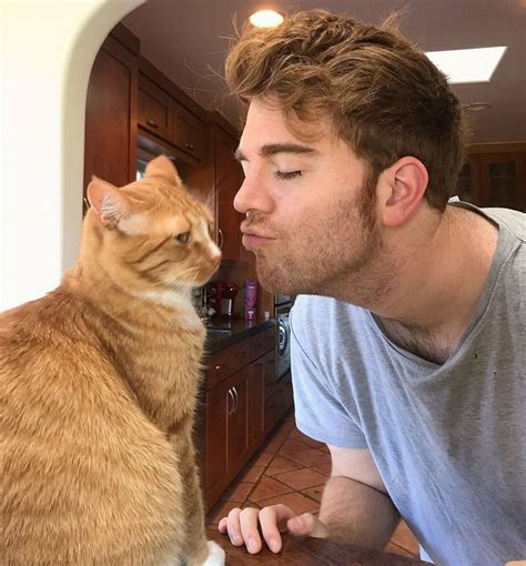 what did shane dawson do to his cat youtuber s alleged sexual act trends online