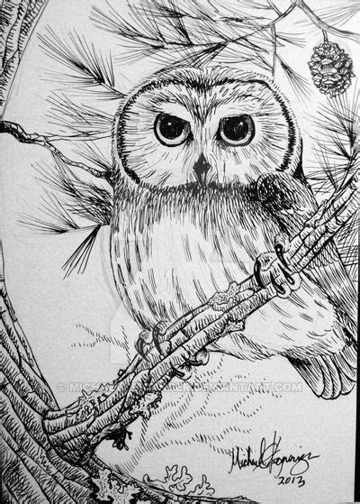 Pin On Owl Art