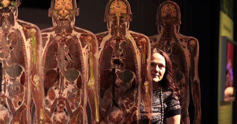 Human Bodies Exposed In Body Worlds Exhibition Chronicle Live