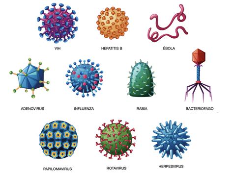 Los Virus Que Nos Habitan