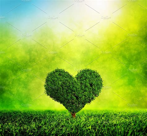 Heart Shaped Tree High Quality Nature Stock Photos ~ Creative Market