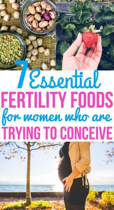 7 Best Foods To Increase Fertility For Getting Pregnant Quicker