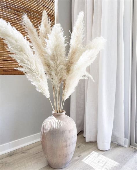 𝓜 On Twitter Beautiful Living Rooms Decor Grass Decor Pampas Grass