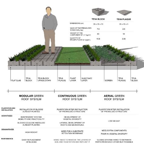 Comparison Between The Types Of Green Roof And Their Structural