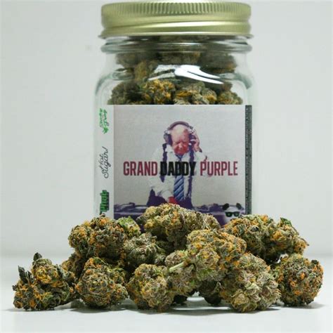 Buy Grand Daddy Purple Strain Buy Grand Daddy Purple Strain