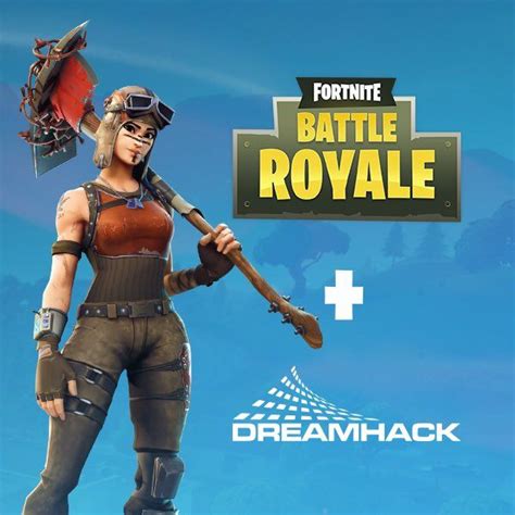 Battle Royale Renegade Raider Outfit