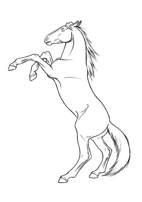 Aprender Sobre Imagem Desenhos De Cavalos Para Copiar Br Thptnganamst Edu Vn