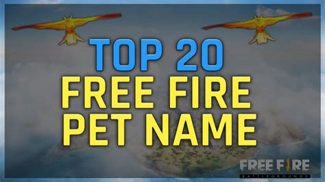 Looking for best pubg names? TOP 20 BEST PET NAME FOR FREE FIRE || FREE FIRE BEST PET ...