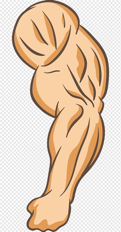 Arm Computer File Strong Left Arm Food Hand Cartoon Arms Png Pngwing