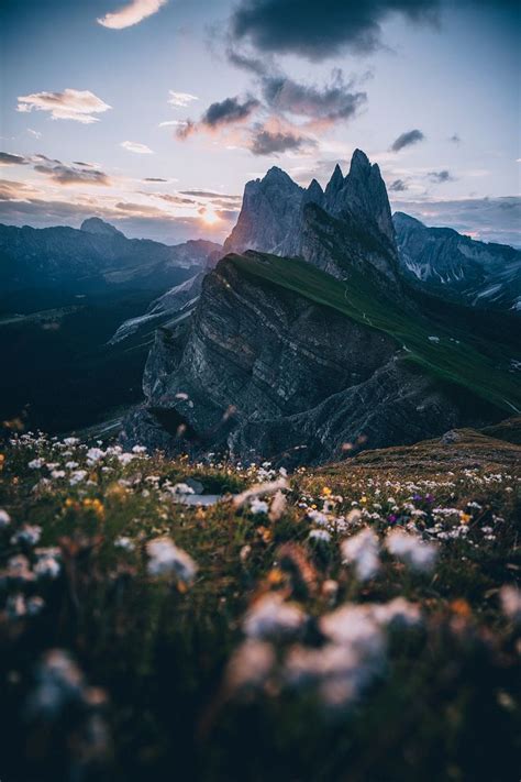 Mountain Nature Flowers Free Photo On Pixabay Живописные пейзажи