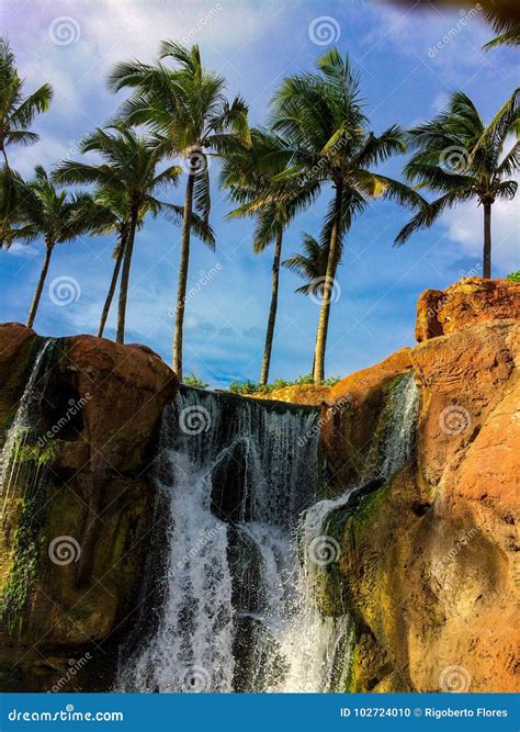Waterfall With Palm Trees Stock Photography 102724010