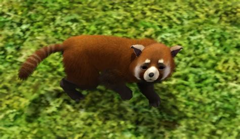 Mod The Sims Red Panda